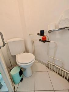 Un baño con un inodoro blanco en una habitación. en 80 m2 - 8th Floor with Free Parking - 5 guests, en Grenoble