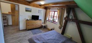 sypialnia z łóżkiem i komodą z telewizorem w obiekcie Family House 94 w mieście Prosečné