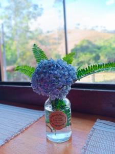 Billede fra billedgalleriet på Refúgio Allamanda i Visconde De Maua