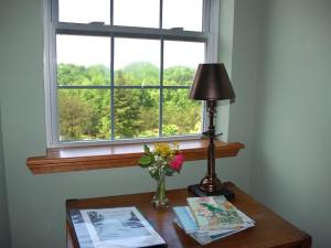 a table with a vase of flowers and a lamp at Long Mountain Lodge Bed & Breakfast in Dahlonega