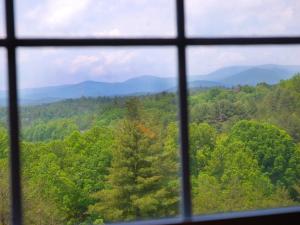 a view of a forest from a window at Long Mountain Lodge Bed & Breakfast in Dahlonega