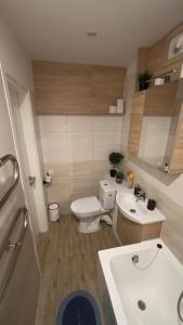 a small bathroom with a toilet and a sink at Studio apartment in Valmiera