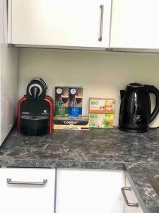 Kuchyň nebo kuchyňský kout v ubytování Cosy 1 bedroom apartment in EU DISTRICT