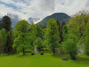 Príroda v okolí apartmánu