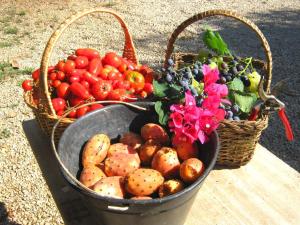 two baskets of fruit and vegetables in a bucket at Villa Costanza in San Giovanni
