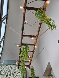 a rustic ladder with plants hanging from it at Sofia's Central Apartment Palermo in Palermo