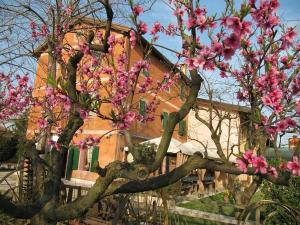 Vonkajšia záhrada v ubytovaní Agriturismo Praetto