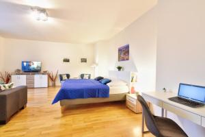 TV a/nebo společenská místnost v ubytování Karlsbad Apartment
