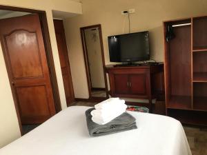 TV a/nebo společenská místnost v ubytování hotel el portal de las Flores, Alojamiento Rural