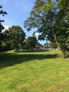 a tree in a field with a house in the background at The Manor Elstree in Elstree