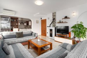 Televízia a/alebo spoločenská miestnosť v ubytovaní Funtana Apartments Budinjaš
