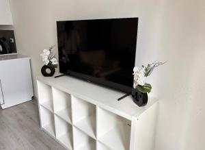 TV a/nebo společenská místnost v ubytování Gemütliche Wohnung