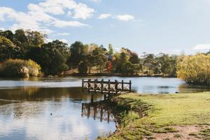 a wooden bridge in the middle of a lake at The Art Retreat in Daylesford