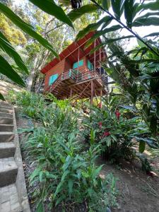 Zahrada ubytování Gracias Madre Jungle and Ocean View Cabins