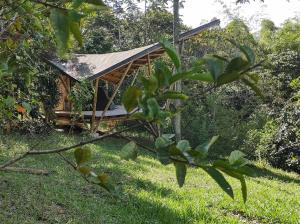 Glamping Reserva Natural Amalaka في Totoró: مبنى صغير مع سقف في العشب