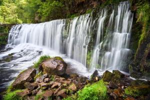 a waterfall in the middle of a forest at No 30 Guest House, Aberdare in Aberdare