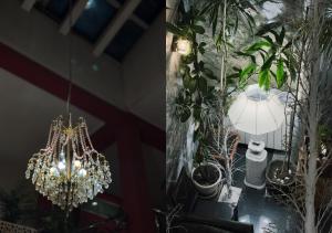 Fotografie z fotogalerie ubytování Hotel IL Sole v destinaci Berane