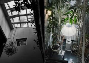 Fotografie z fotogalerie ubytování Hotel IL Sole v destinaci Berane