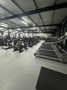 ein Fitnessstudio mit Reihen von Laufbändern und Geräten in der Unterkunft Casa Adan in Drobeta-Turnu Severin