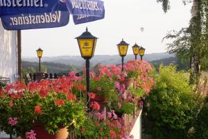 a row of street lights with flowers in pots at Hotel Igel in Püchersreuth