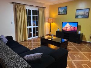 a living room with a couch and a flat screen tv at Vila Mendes - Ocean View in Arco da Calheta