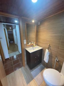 a bathroom with a sink and a toilet and a mirror at Quinta da Recochina in Castro Daire