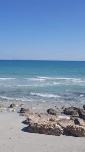 Imagen de la galería de Dar m, en Ksour Essaf