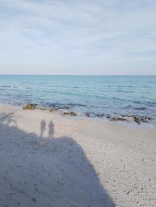 Imagen de la galería de Dar m, en Ksour Essaf 24 fotos más