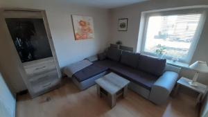 a living room with a blue couch and a window at Große Wohnung in Tungendorf mit Grill in Neumünster