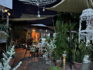 eine Terrasse mit Pflanzen und Tischen und einem Sonnenschirm in der Unterkunft Mendoza’s GUEST HOUSE in Santa Ana + 15 Fotos