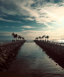 a beach with a row of palm trees and water at Residencial Lara 7 in Itapema