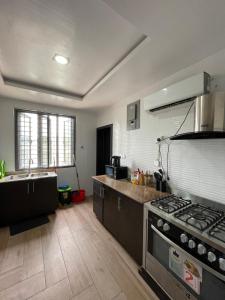 IkoyiにあるDominion Apartmentのコンロとシンクのあるキッチン