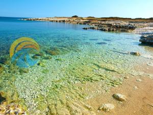 a beach with clear water and a rocky shore at Ferienwohnung für 2 Personen ca 30 qm in Premantura, Istrien Istrische Riviera in Premantura