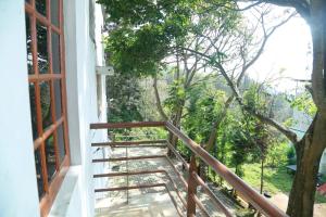 balcone con vista su un albero di Rainforest villa a Yercaud
