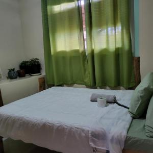 a bedroom with a bed with a green curtain at Boone Homestay in Sagada