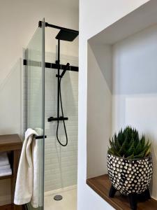 een badkamer met een douche en een plant bij Les clés d'à côté - maison d'hôtes de charme près de Rouen in Sotteville-lès-Rouen +81 foto's