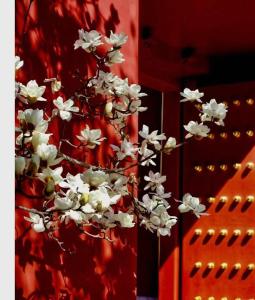 Fotografie z fotogalerie ubytování Hotel Cote Cour Deductive Beijing - Quadrangle close to Tiananmen Square & Forbidden City & Nanluoguxiang, Walk to Wangfujing, English speaking, Free WiFi, Free Laundry, Free Wonton & Noodles with Tour ticket service, Free selfies with ancient costume v Pekingu