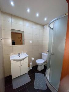 a bathroom with a toilet and a sink and a shower at Biała Dama in Łomża