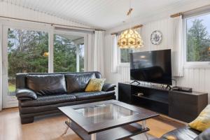 SaltumにあるCozy Summer House Near Saltumのリビングルーム(革張りのソファ、テレビ付)