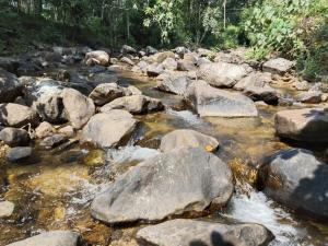 Φυσικό τοπίο κοντά σε αυτό το δωμάτιο σε οικογενειακή κατοικία +5 φωτογραφίες