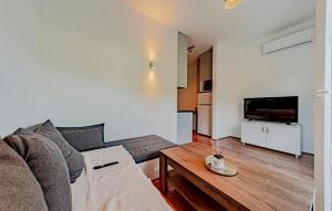 ein Wohnzimmer mit Couch und Fernseher in der Unterkunft Stunning Apartment In Zuljana With Wifi in Žuljana
