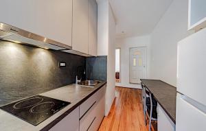 eine Küche mit weißen Schränken und einer Arbeitsplatte in der Unterkunft Stunning Apartment In Zuljana With Wifi in Žuljana + 7 Fotos
