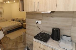 a small room with a bed and a blender on a counter at Studios Andjela&Luka in Sremski Karlovci