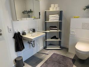 a bathroom with a sink and a toilet at Feriendomizil zwischen Baden-Baden - Offenburg in Ottenhöfen