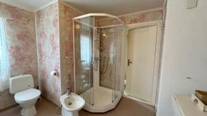 a bathroom with a shower and a toilet and a sink at Nonstinden View Lofoten in Ballstad +36 photos