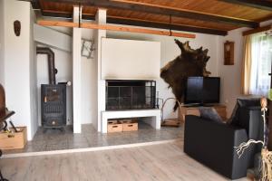 a living room with a fireplace and a stove at Chata s výhledem do údolí Frymburk, Náhlov in Frymburk