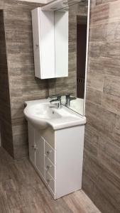 a bathroom with a white sink and a mirror at Holiday House in Roč