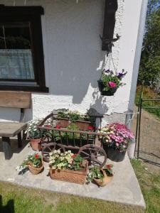 ein Karren voller Topfpflanzen neben einem Fenster in der Unterkunft Ruhig am Waldrand gelegene Wohneinheit in Innsbruck