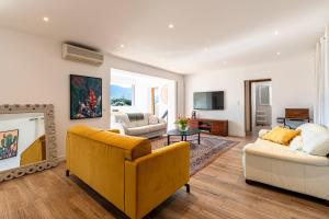 Μια τηλεόραση ή/και κέντρο ψυχαγωγίας στο Villa La Crique - Piscine vue montagne climatisé