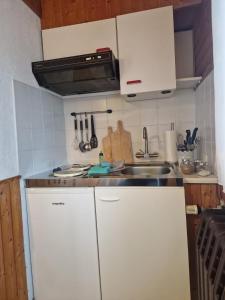 Kuchyň nebo kuchyňský kout v ubytování Haus Fessel - Zeterklippe